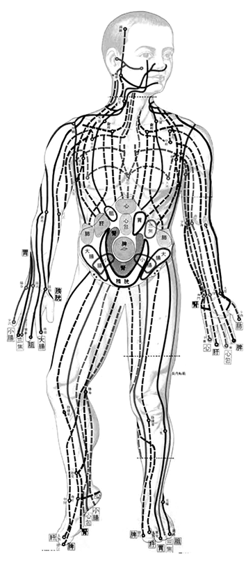 Masunaga Amoebe